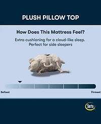 Serta Perfect Sleeper Osiria Rose 15" Plush Pillow Top Mattress Set, Twin