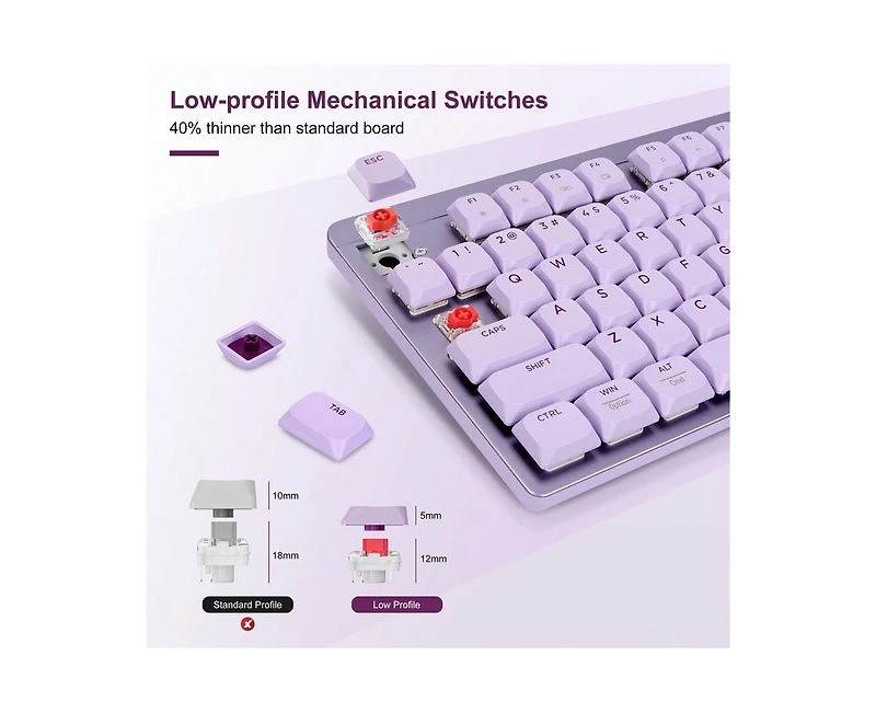 Wireless Mechanical Keyboard and Mouse