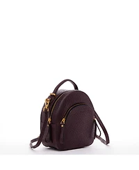 Small Leather Backpack Purse Convertible Crossbody Bag Womens Fashion Backpack for Travel and Everyday Handbag with Gold Hardware and Detachable Strap