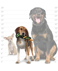 Tuffy Bug Grasshopper 2 Pack, Durable Plush Dog Toy
