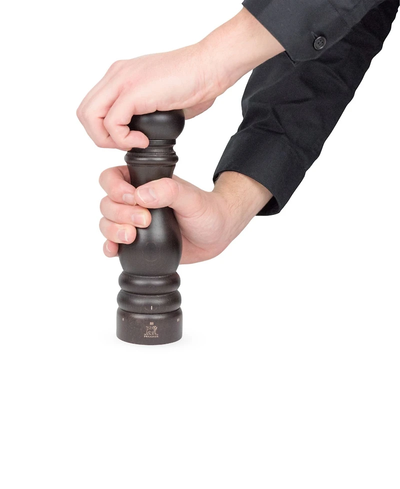 Peugeot Paris u'Select Zirlion 9" Salt Mill