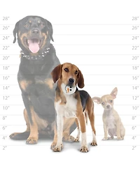 Mighty Small Snowball 2 Pack, Durable Squeaky Dog Toy