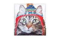 Winter Hat Cat Indoor/Outdoor Christmas Holiday Throw Pillow, 18" x 18"