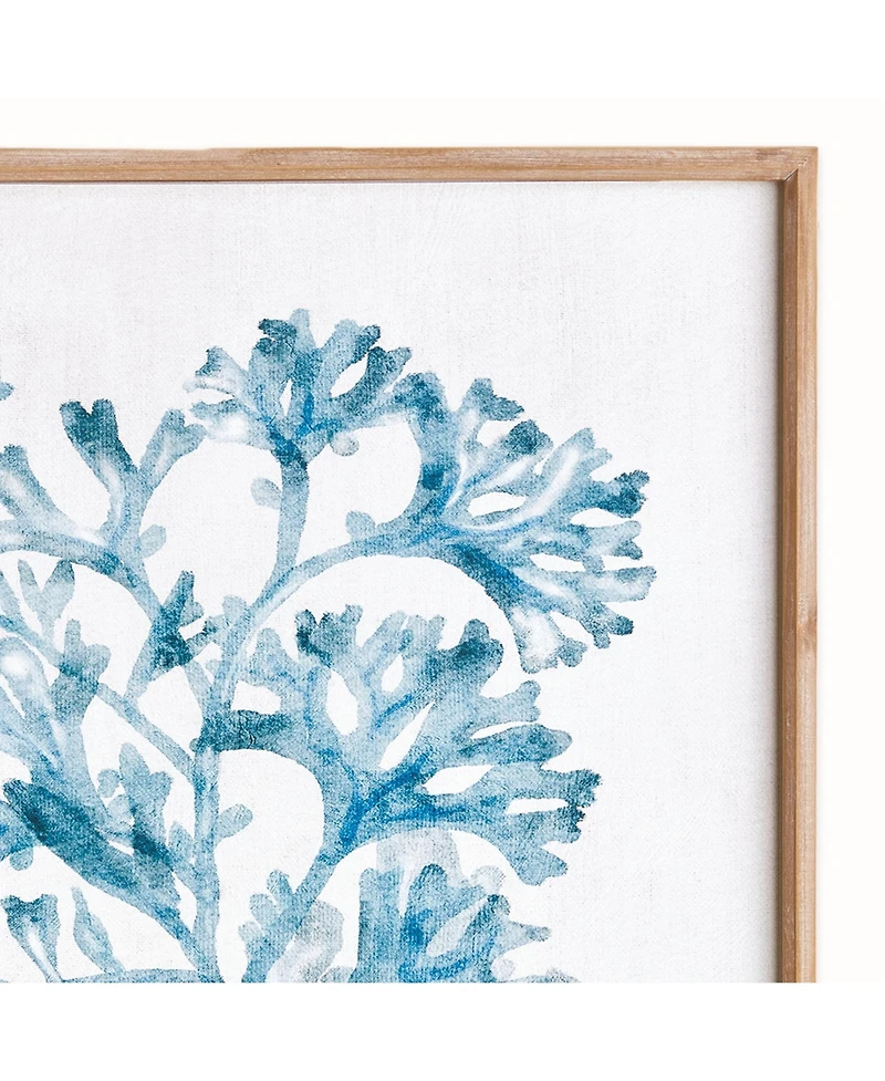 Translucent Coral Print - Blue Framed Art - Coastal Decor