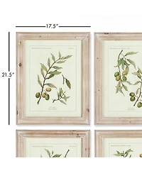 Framed Olive Leaf Botanical Prints Set of 4