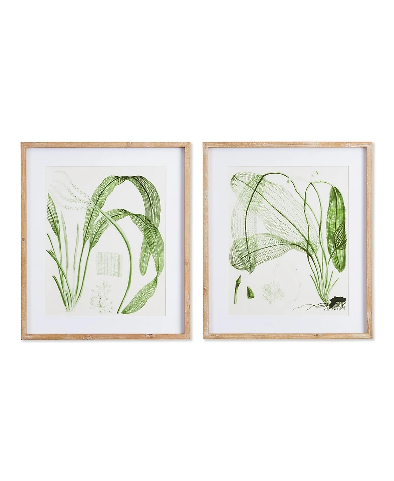 Aquatic Leaf Prints, Set Of 2