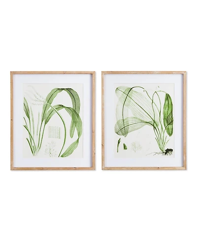 Aquatic Leaf Prints, Set Of 2