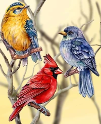 Designocracy Winter Birds Wood Clip-on Ornaments, Set 3