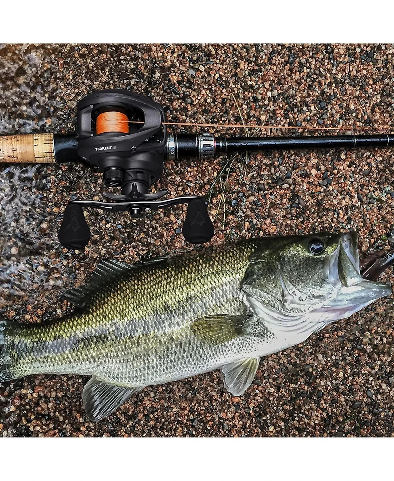 Piscifun Torrent Ii Baitcasting Fishing Reel, 20LB Carbon Fiber Drag Baitcasters, 6.6:1/8.1:1 Gear Ratio & Magnet Braking System Low Profile Casting R