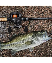 Piscifun Torrent Ii Baitcasting Fishing Reel, 20LB Carbon Fiber Drag Baitcasters, 6.6:1/8.1:1 Gear Ratio & Magnet Braking System Low Profile Casting R