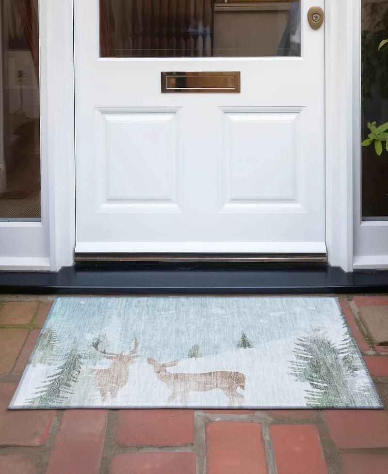 Addison Holiday Washable Indoor/Outdoor ACN1821 1'8"x2'6" Area Rug