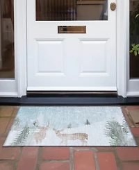 Addison Holiday Washable Indoor/Outdoor ACN1821 1'8"x2'6" Area Rug