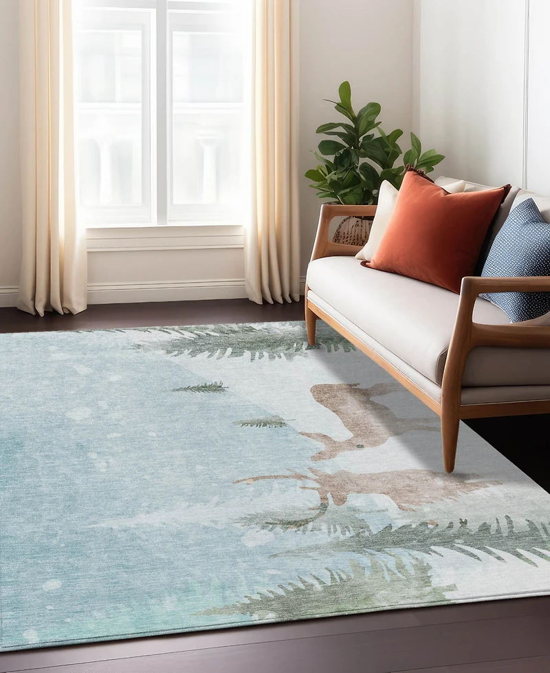 Addison Holiday Washable Indoor/Outdoor ACN1821 3'x5' Area Rug