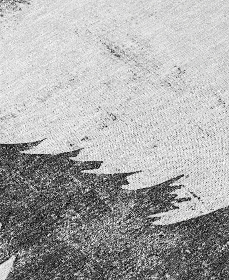 Addison Holiday Washable Indoor/Outdoor ACN1811 8'x10' Area Rug