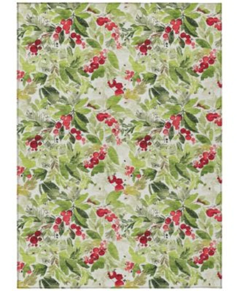 Addison Holiday Washable Indoor Outdoor Acn1816 Rug Collection