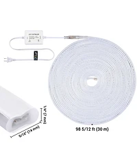 DELight 100FT Warm White Neon Rope Lights with Remote Control Ac 110V IP65 Waterproof Cuttable Dimmable Flexible Diy Del-D100W
