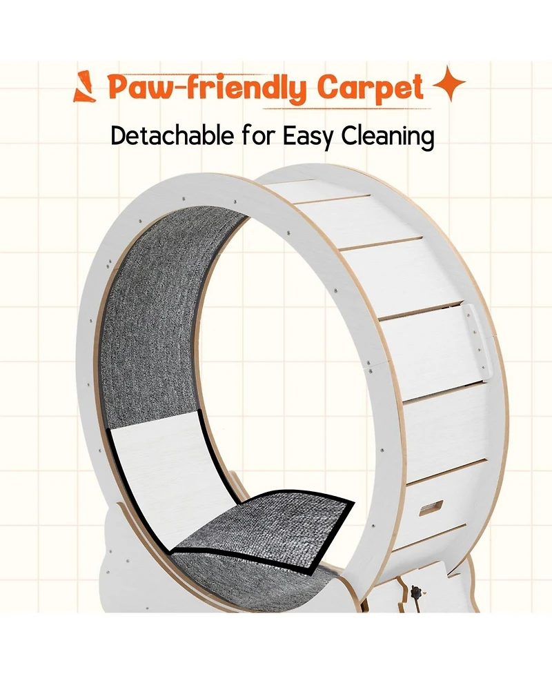 Aecojoy 43.3'' Cat Wheel for Indoor Cats