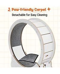 Aecojoy 43.3'' Cat Wheel for Indoor Cats