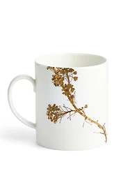Vera Wang Wedgwood Jardin Mug