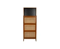 Casainc Rattan Shoe Cabinet with 3 Flip Drawers