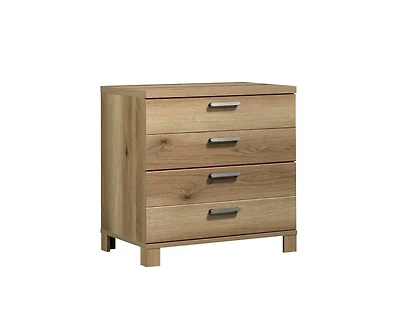 Casainc Storage File Cabinet with 2 Drawers