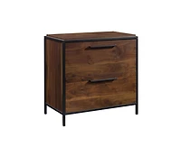 Casainc Storage File Cabinet with 2 Drawers
