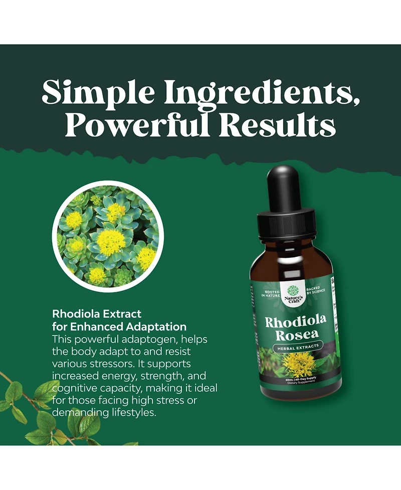 Rhodiola Tincture, Brown, 60ml