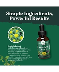 Rhodiola Tincture, Brown, 60ml