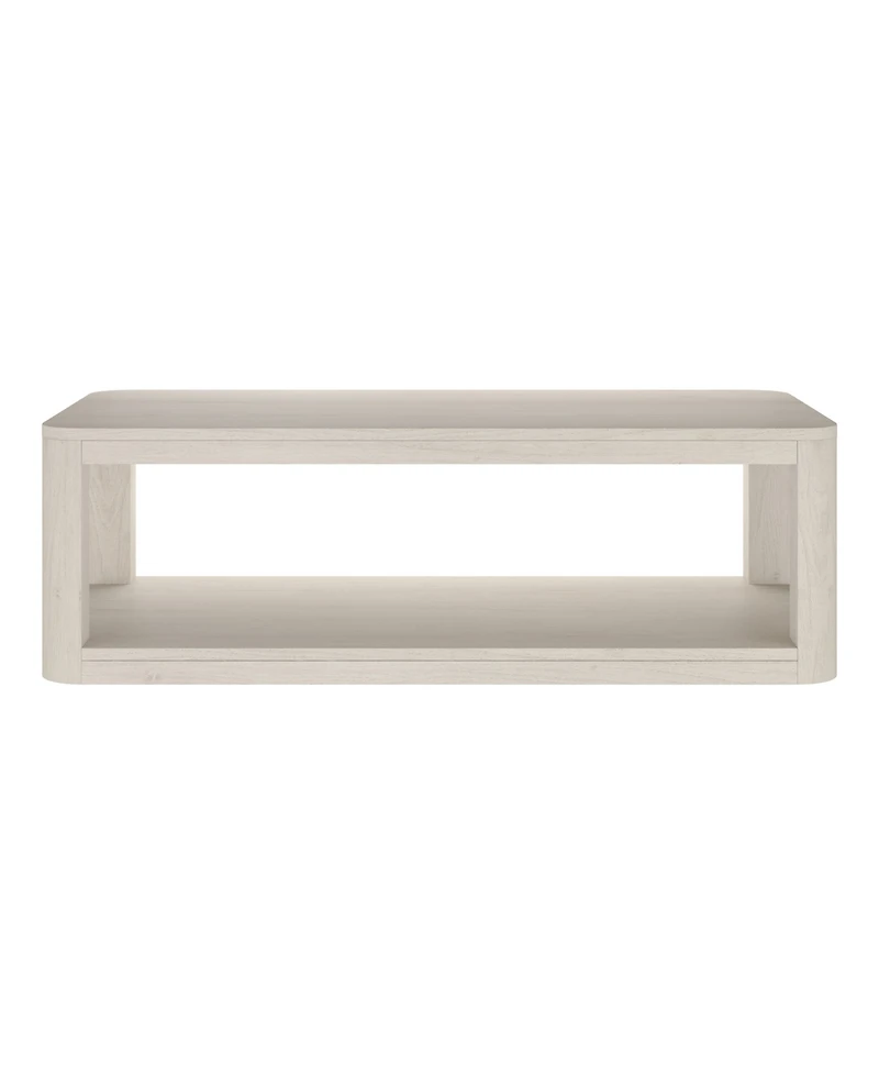 Hudson & Canal Stellan 47" Wood Wide Rectangular Coffee Table