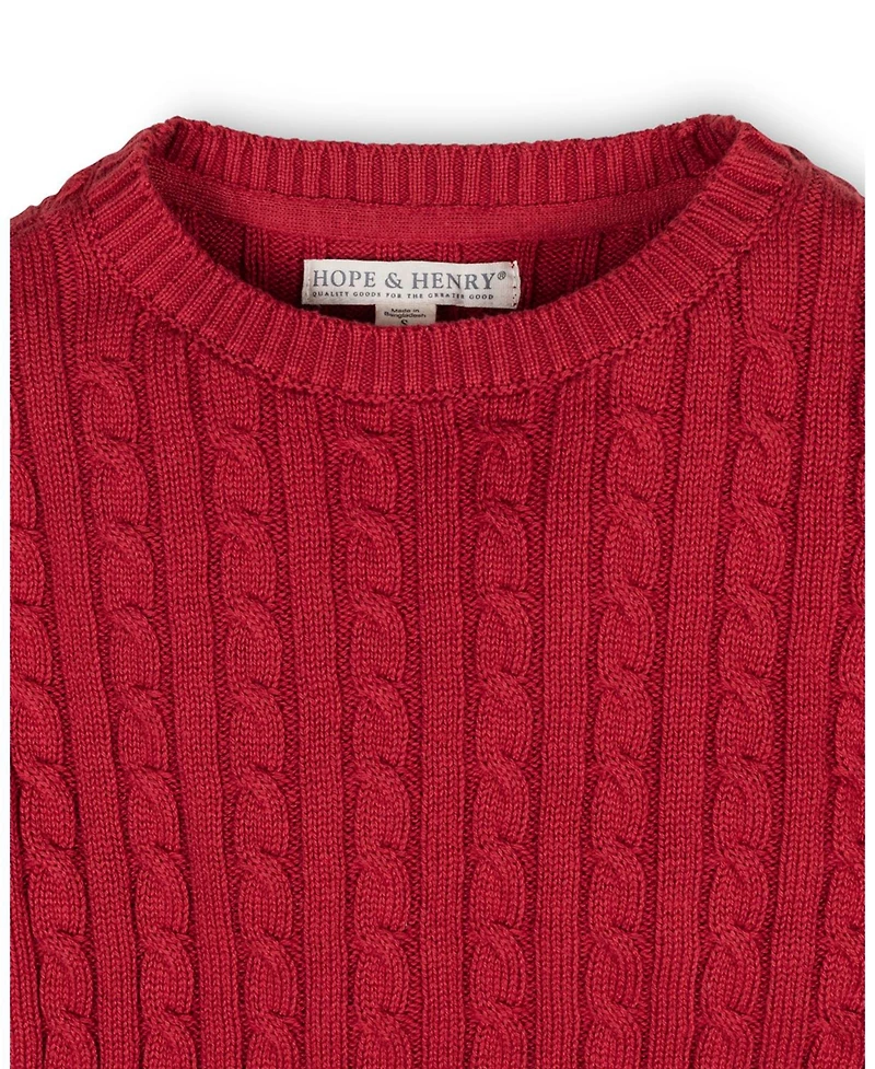 Hope & Henry Boys Organic Cable Crewneck Pullover Sweater