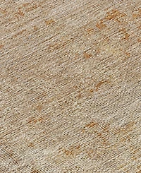 Dalyn Burano BU2 8'x10' Area Rug