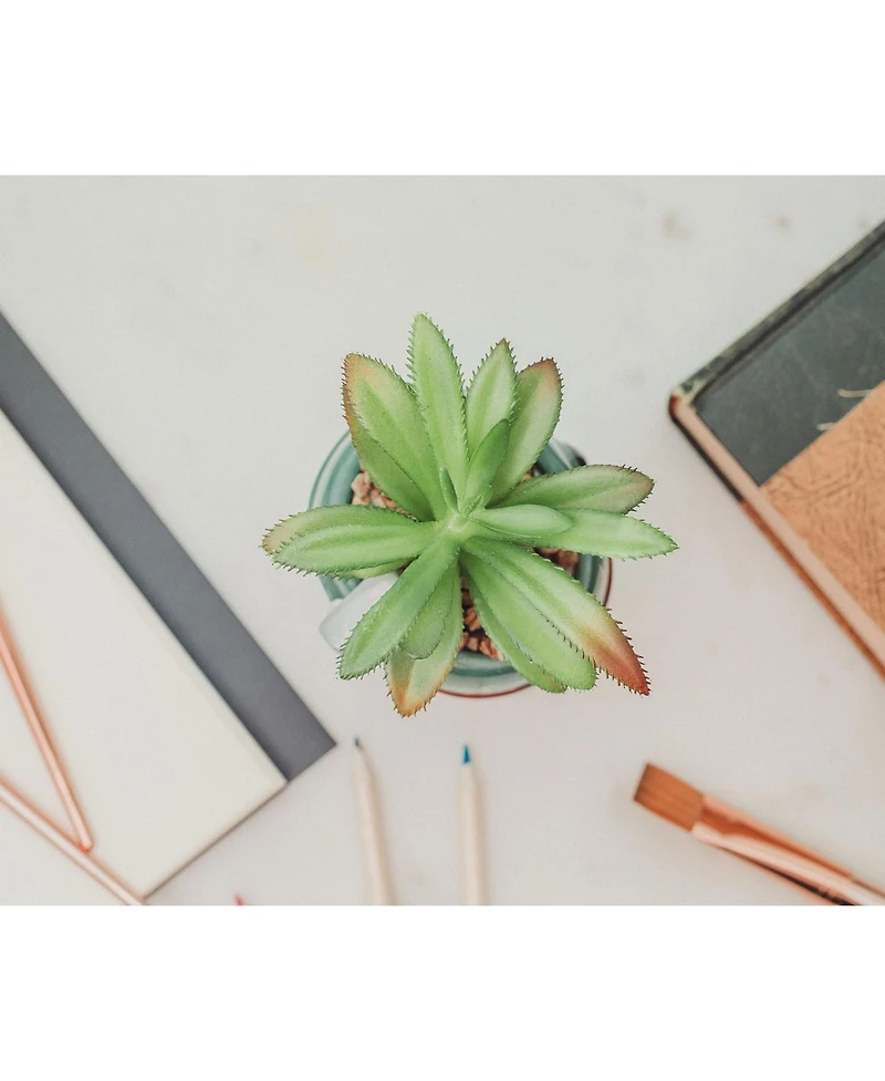 Star Wars Boba Fett Helmet 3-Inch Ceramic Planter With Artificial Succulent | Small Flower Pot, Faux Indoor Plant For Desk Shelf, Trinket Tray | Cute