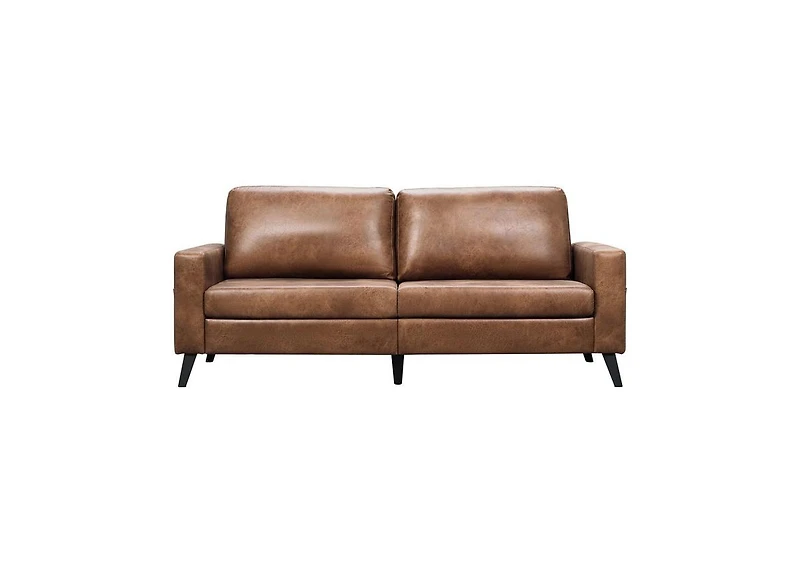 Aecojoy 79" Couch for Living Room, 3 Seat Sofa Livingroom