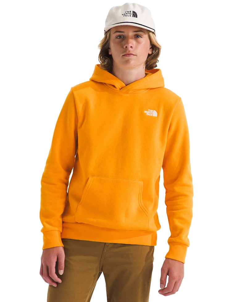 The North Face Boys 6-20 Evolution Simple Dome Pull-On Hoodie
