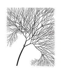 Phillips Collection Wire Tree Rectangular Metal Wall Art
