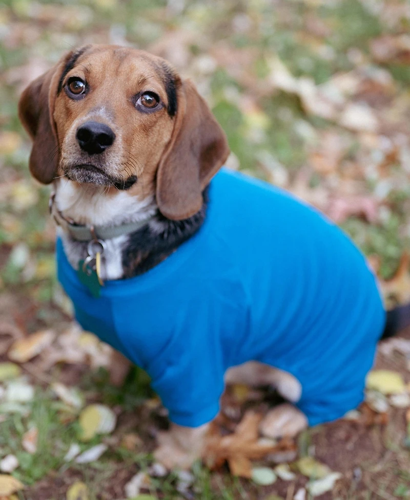 Leveret Dog Cotton Pajama Solid Teal