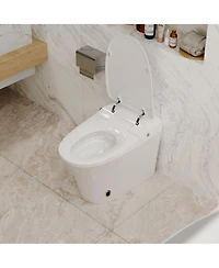 Casainc Luxury Smart Tankless Bathroom Fixture with Dryer and Warm Water,Heated Seat, Night Light, Kick/Blackout Flush