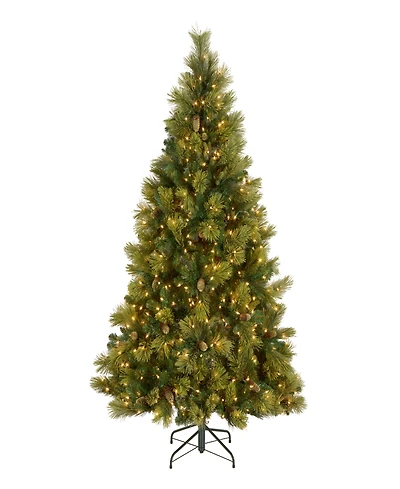 National Tree 6.5' Carolina Pine Tree with 650 Clear Lights