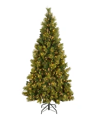 National Tree 6.5' Carolina Pine Tree with 650 Clear Lights