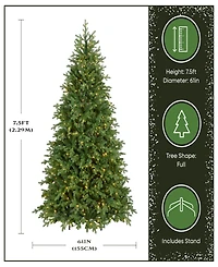 National Tree Company 7.5' Feel Real Princeton Fraser Fir Tree with 800 Dual Color Led Lights & PowerConnect