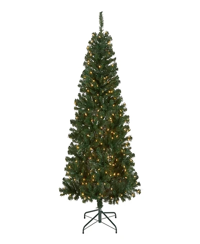 National Tree Company Acacia Pre-lit Christmas Tree with 300 Clear Incandescent or Multicolor Lights, 6'