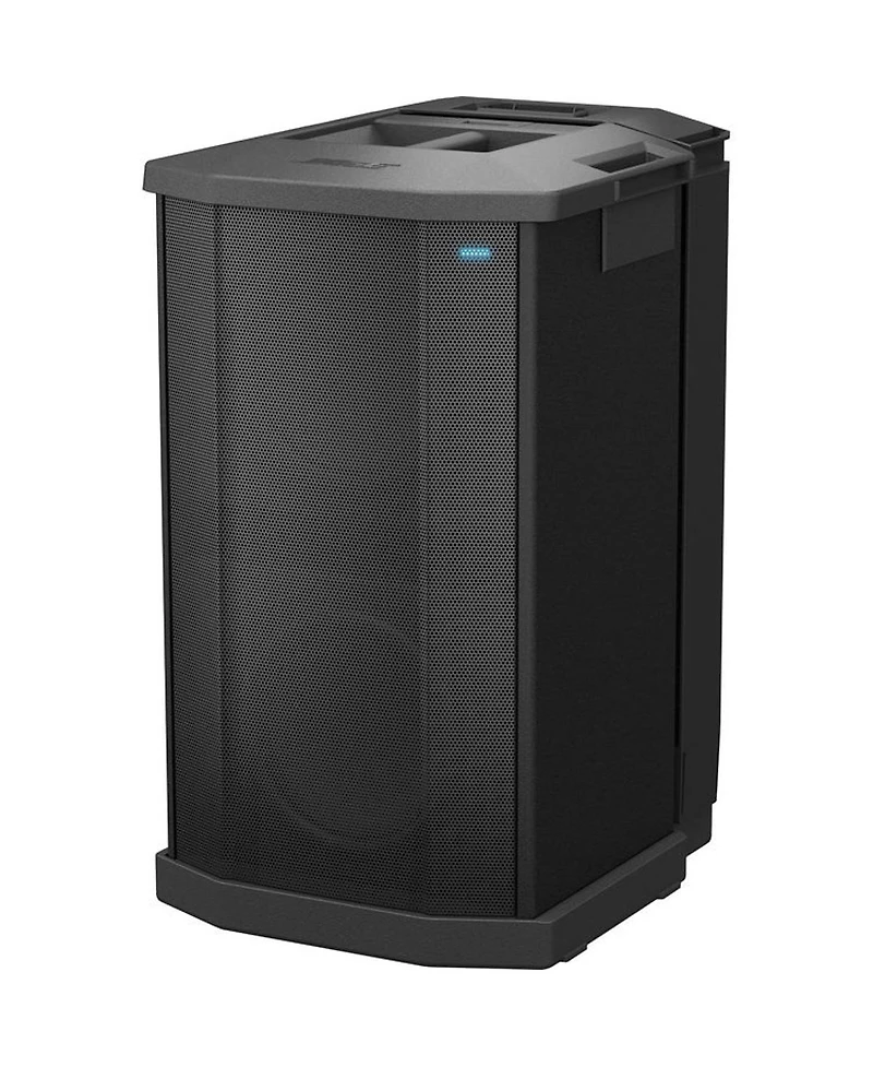 Bose F1 1000W Powered Subwoofer with Built-in Stand, 120V Us