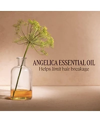 L'Occitane Intensive Repair Anti-Frizz Emulsion 3.40 fl oz