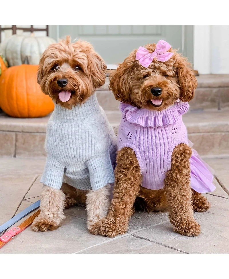 Blueberry Pet My Cutie Princess Ruffle Collar with Layered Tulle Dog Sweater Dress