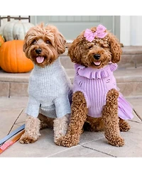 Blueberry Pet My Cutie Princess Ruffle Collar with Layered Tulle Dog Sweater Dress