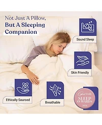 FluffCo Down Alternative Classic Hotel Pillow