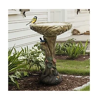 SunJet 25.5 Inch Heigh Wood-Look Concrete Bird Bath with Decorative Faux Bird – birdbath Rustic & Long-Lasting Design, Enhances Garden