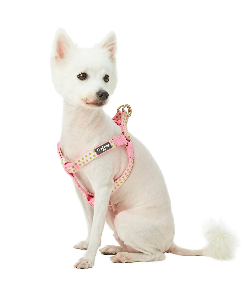 Blueberry Pet Velvety Polka Dot Dog Step-in Harness with Bow