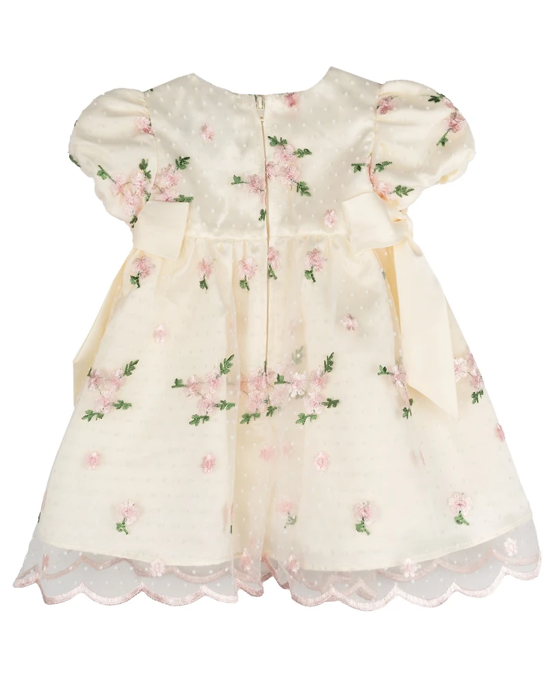 Rare Editions Baby Girls' Embroidered Mesh Social Dress