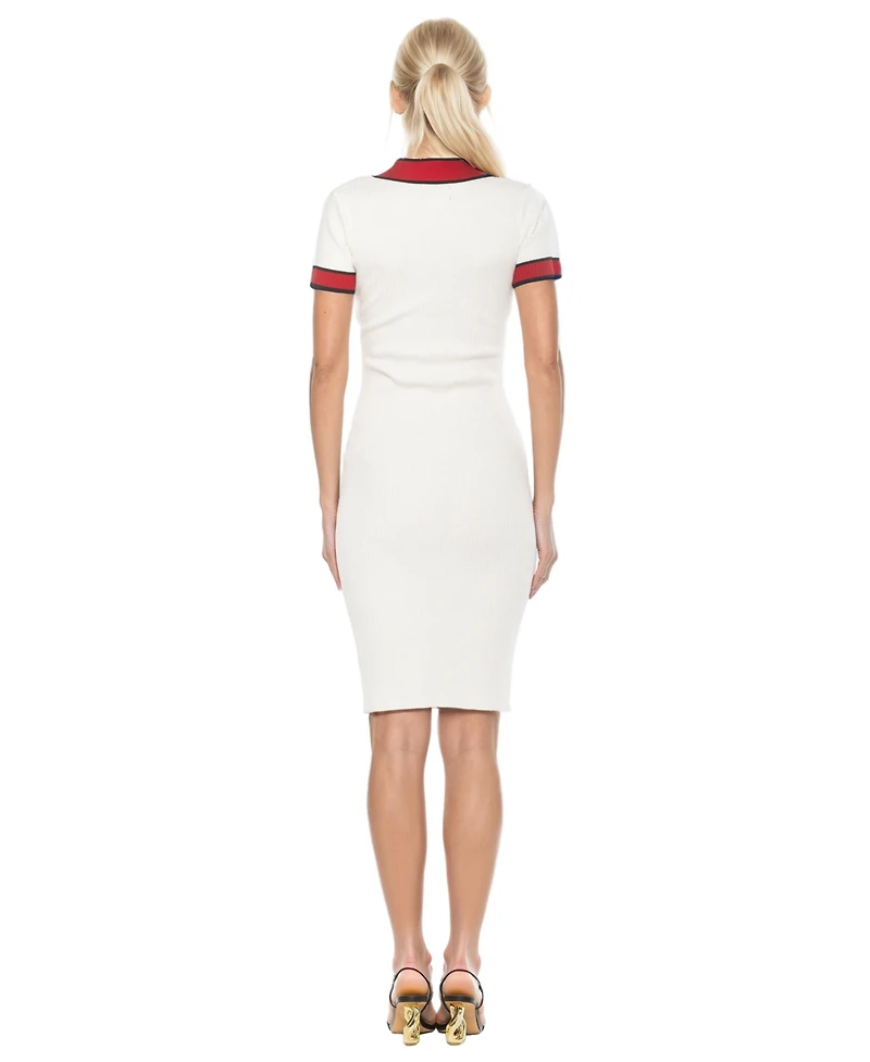 Alexia Admor Women's Otto V Neck Ribbed Knit Dress